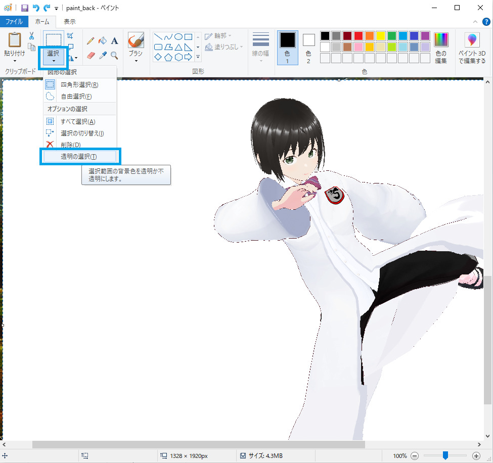 paint13_paste_setting